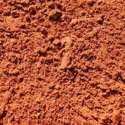 Regular Sand